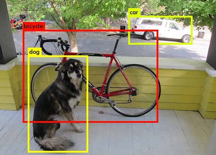 Benchmarking Object Detection Algorithms: The Key to Choosing the Best Model for Your Needs